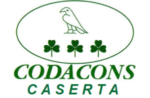 CODACONS 300x197 CASERTA, ARRIVANO MULTE DATATE 2014. IL CODACONS CON I CITTADINI