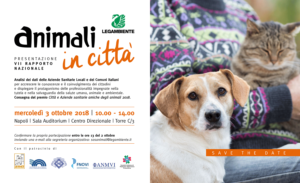 Animali in città 2018 300x183 ANIMALI IN CITTA, A NAPOLI IL 3 OTTOBRE