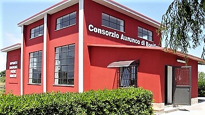 SESSA AURUNCA, CAB: OPERAI IN AGITAZIONE