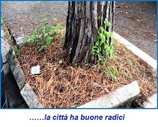 11 CASERTA 2019, QUALITÀ DELLA VITA 94° POSTO (ITALIA OGGI): OTTIMO IL BRANDY IDENTITY