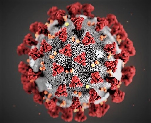 coronavirus 4 SESSA E CORONAVIRUS…GLI ULTIMI AGGIORNAMENTI! TUTTO QUANTO C’È DA SAPERE SUL COVID 19 …..E OCCHIO AI TRUFFATORI