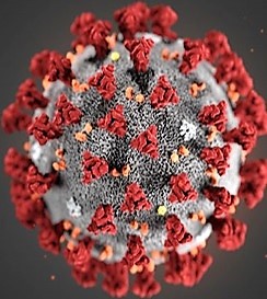coronavirus SILVIO SASSO VUOLE FARE LO SCERIFFO MA SI TRASFORMA IN TOTÒ!