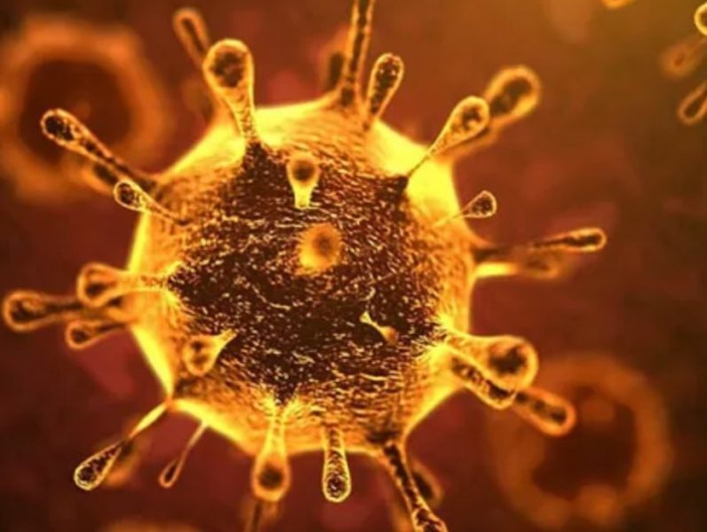 coronavirus scaled Coronavirus:  Lo smog ‘alleato’ del Covid, non lo trasporta ma ‘disarma’ l’organismo