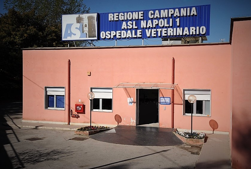 FRULLONE Ospedale Veterinario Napoli ASL NA1, AREA VETERINARIA, OMERTÀ & SOPRUSI