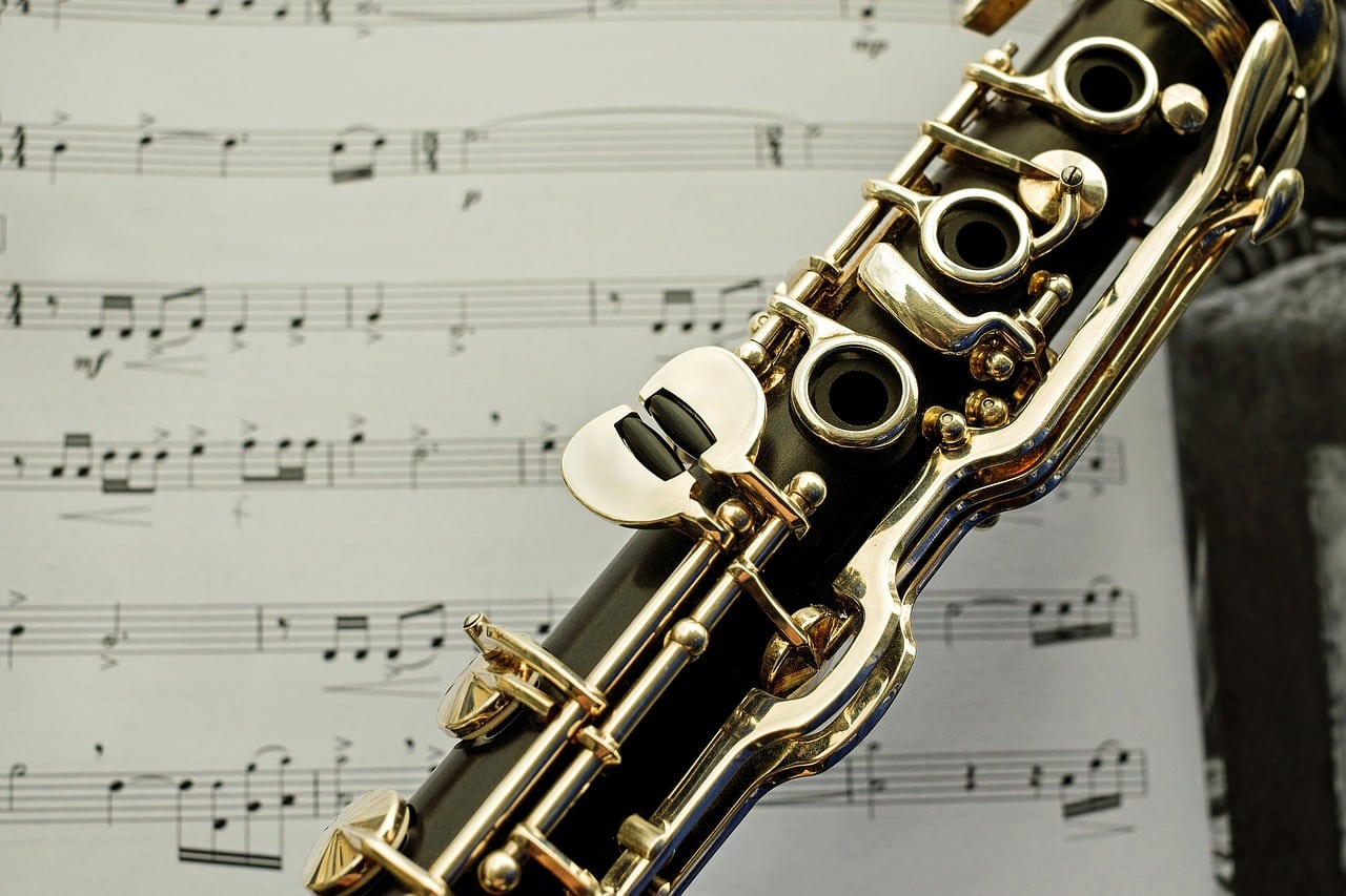 clarinetto 2 FESTA DELLA LIBERAZIONE, AUDITORIUM DI CASERTA, CONCERTO DELLA U.S. NAVAL FORCES EUROPE BAND 