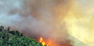 INCENDIO AL MONTE CANNETO DELL’8 AGOSTO, ARRESTATO IL RESPONSABILE