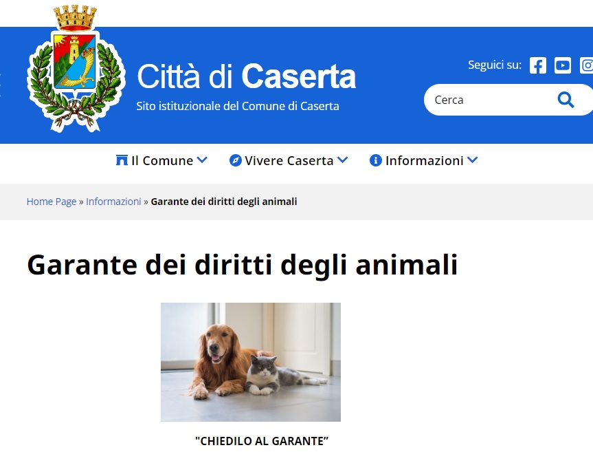 pagina garante animali CASERTA, SPAZIO ALLA GARANTE PER I DIRITTI DEGLI ANIMALI: PAGINA WEB SUL SITO  ISTITUZIONALE DEL COMUNE
