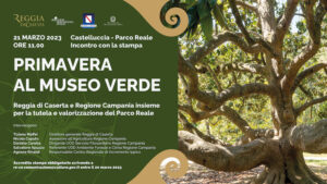 Primavera al Museo Verde Stampa 300x169 REGGIA DI CASERTA, PROTOCOLLO DI INTESA PER TUTELARE ALBERI MONUMENTALI