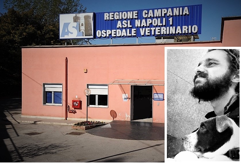 FRULLONE Ospedale Veterinario Napoli LA STORIA DI TUTTE LE STORIE È LA MEMORIA: ALESSANDRO, MOKA, OTTO CUCCIOLI E LAMORE