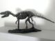 IL KILLER DEI DINOSAURI; ALTRO DA GARLASCO E ALBERTO STASI