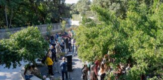 Nel Parco della Reggia di Caserta nasce “Il Giardino della Camelia”