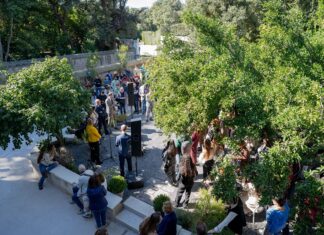 Nel Parco della Reggia di Caserta nasce “Il Giardino della Camelia”